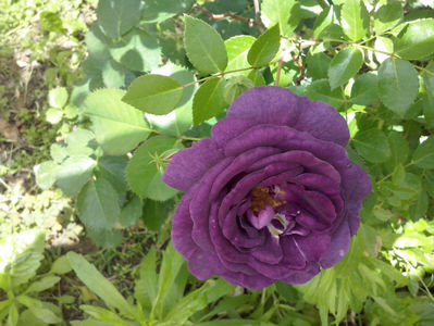 CAM01407