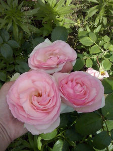 CAM01434