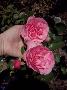 CAM01465