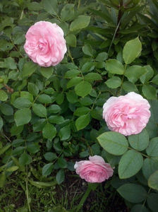 CAM01587