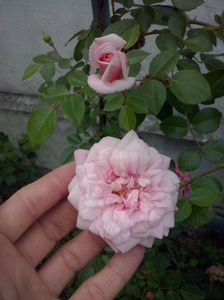 CAM01597