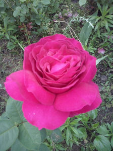 CAM01599