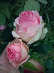 CAM01601