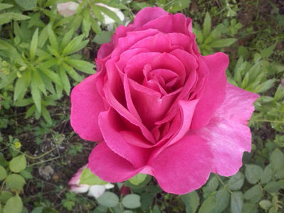 CAM01605