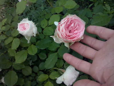 CAM01610