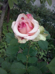 CAM01632