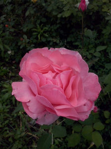 CAM01635
