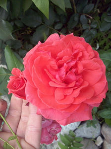 CAM01638