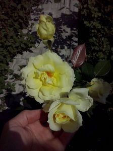 CAM01639
