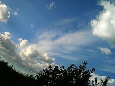 oie_18173529J9KglFIW