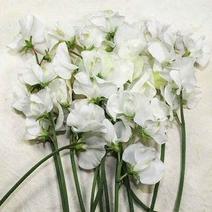 Sweet Pea Royal Wedding (Mazariche Parfumata) – 10.2 lei; Seminte de Sweet Pea Royal Wedding (Mazariche Parfumata) – circa 20 seminte/ plic – 10.2 lei
