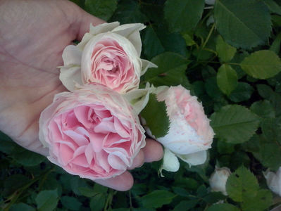 CAM01680