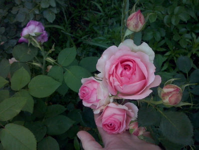 CAM01689