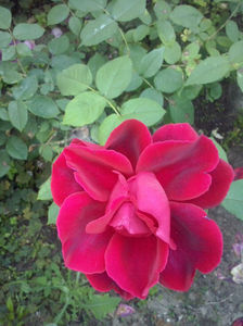 CAM01701
