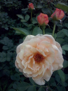 CAM01840