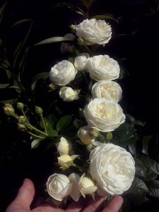 CAM01853