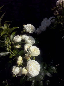 CAM01854