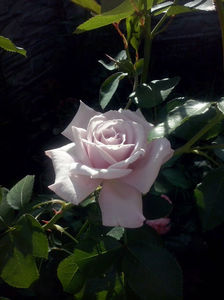 CAM01870