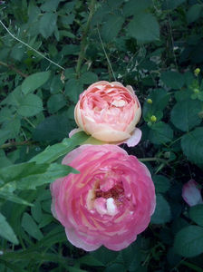 CAM01880