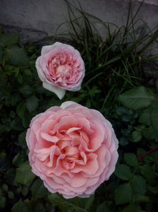 Abraham Darby