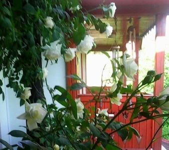 oie_2lLLTsywy3kS; casa de la tara, acolo ma ocup de gradinarit

