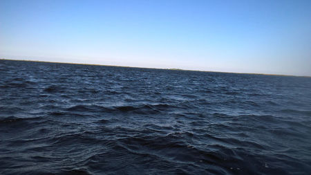 Lacul Rosulet; egrete pescarusi briza
