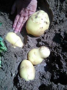 Photo0602
