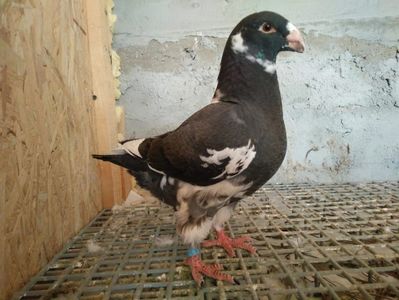 received_2134522183501179