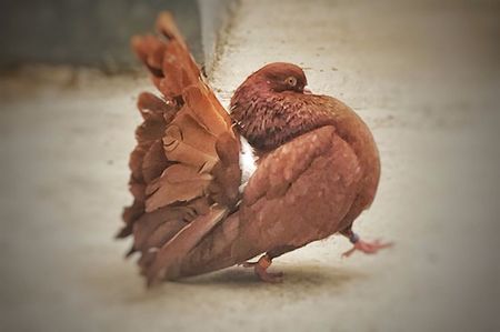 IMG-20180519-WA0022