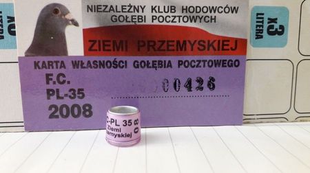 PL 08 FC PRZEMYSKIEJ