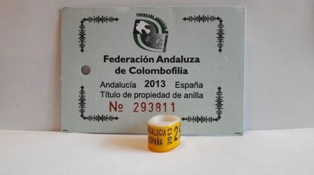 ESPANA 2013 ANDALUCIA