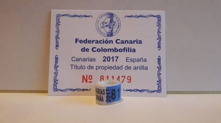 ESPANA 2018 CANARIAS CIP