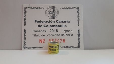 SPAIN 2018 CANARIAS