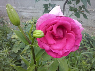 CAM02340