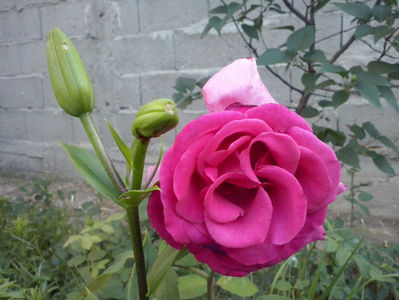 CAM02353