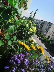Photo8217