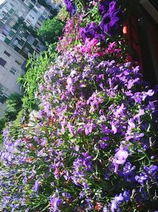 Photo8213