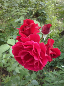 CAM02407