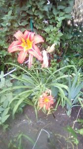 IMG-20180614-WA0006