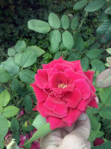 CAM02467
