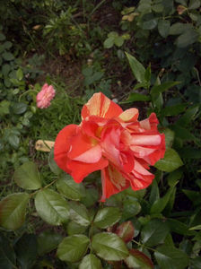 CAM02473