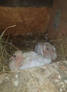 received_214896719321669