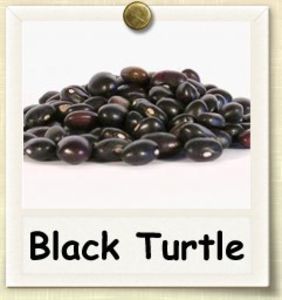 nonhybrid-blackturtle; http://www.geniuskitchen.com/about/black-bean-192
