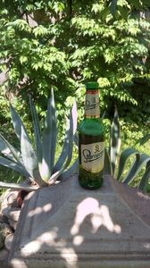IMG-20180518-WA0011