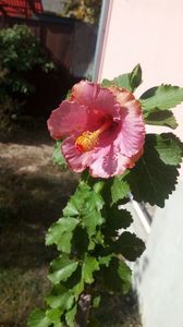 IMG-20171014-WA0006