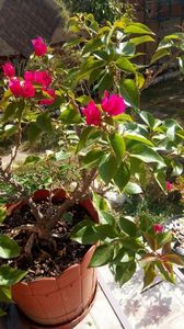 IMG-20171014-WA0002