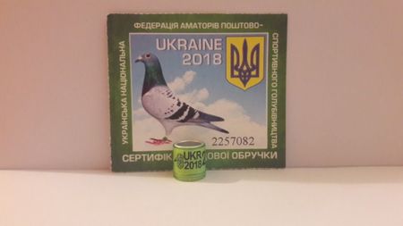 UKR 2018 FCI