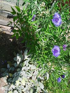 Photo8123