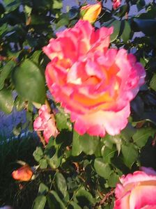 Photo8077