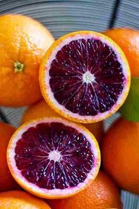 Citrus sinensis moro; Portocal violet

